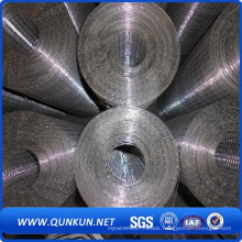 PVC Coated Galvanized Welded Wire Mesh with Factory Price